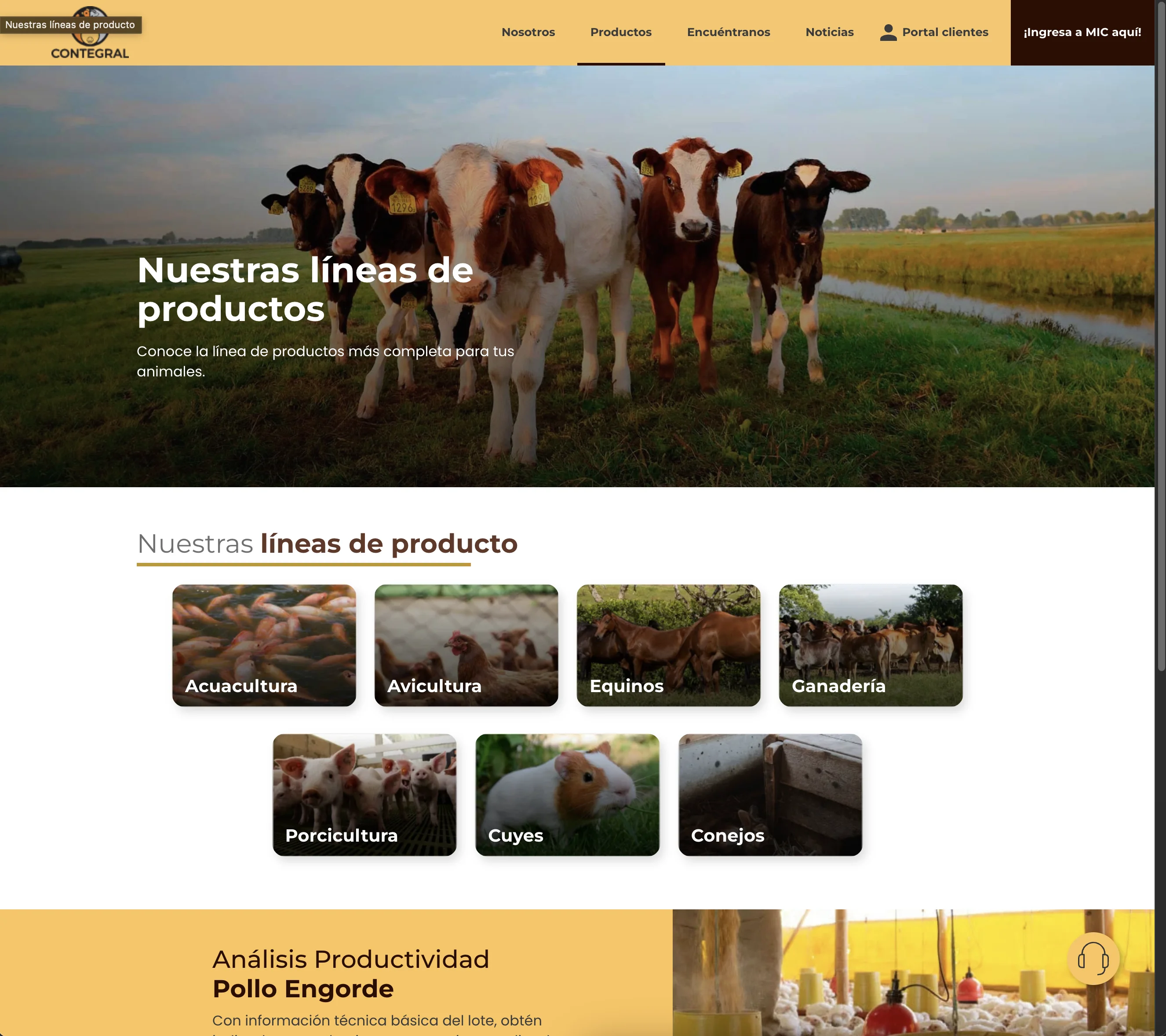 FINCA · CONTEGRAL — view 1