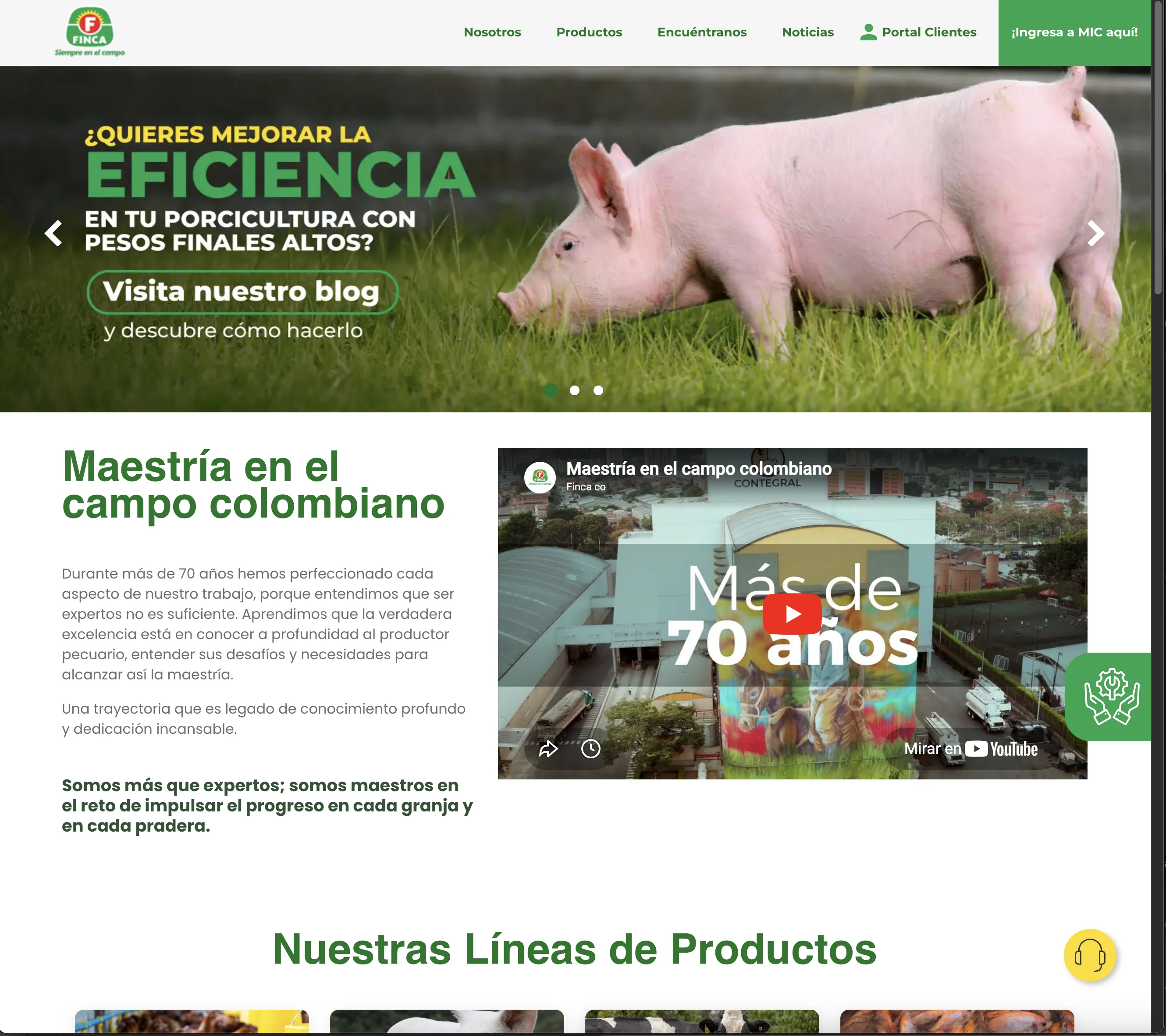 FINCA · CONTEGRAL — view 3