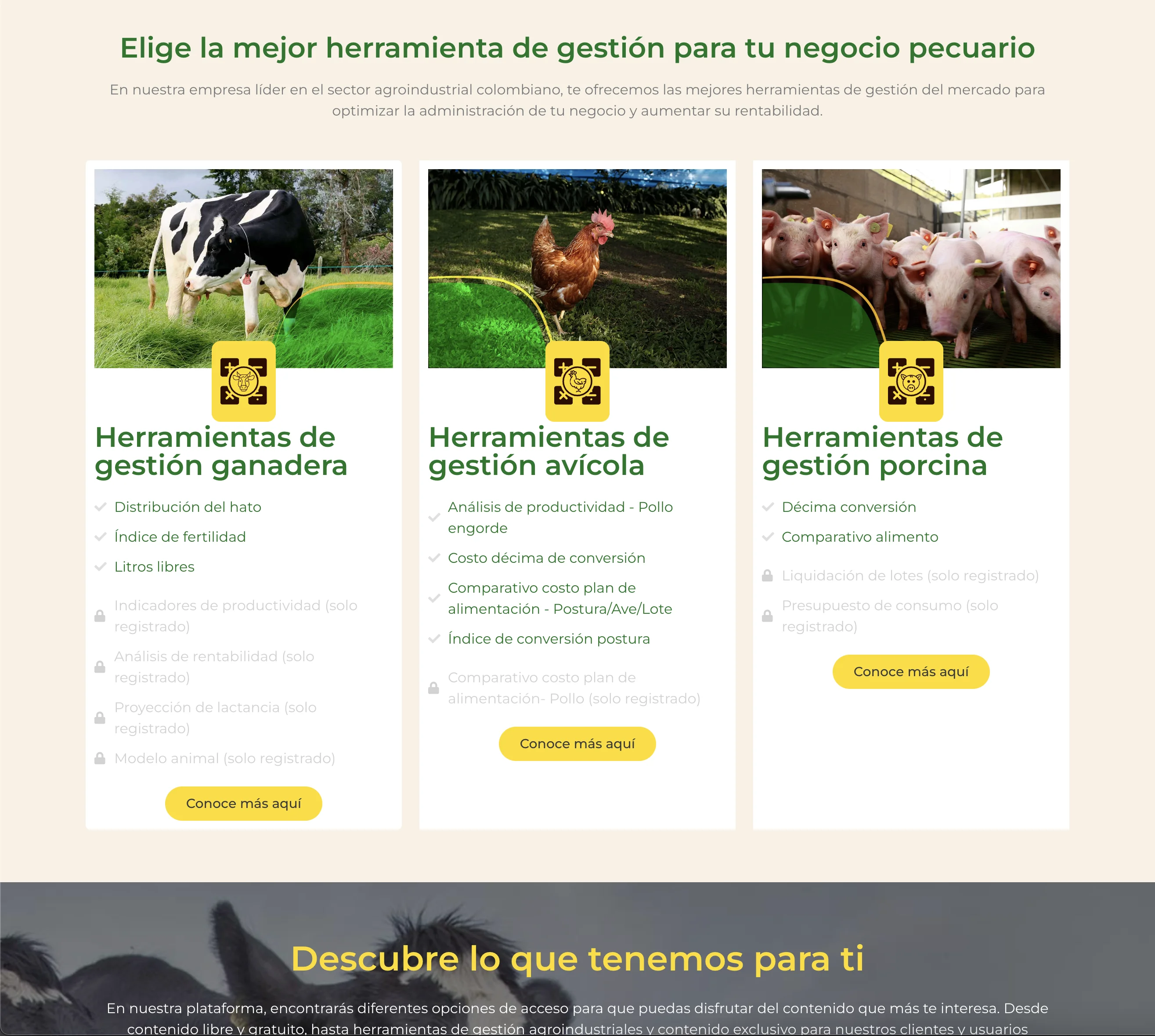 FINCA · CONTEGRAL — view 4